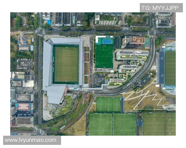 深圳足球队阵地战分析：优劣势与未来发展方向探讨