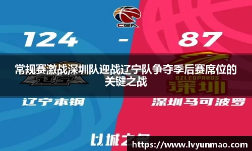 常规赛激战深圳队迎战辽宁队争夺季后赛席位的关键之战